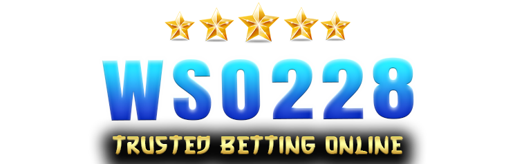 WSO228 Logo
